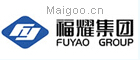 福耀玻璃工業(yè)集團(tuán)股份有限公司